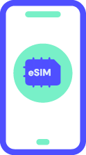 ikona esim
