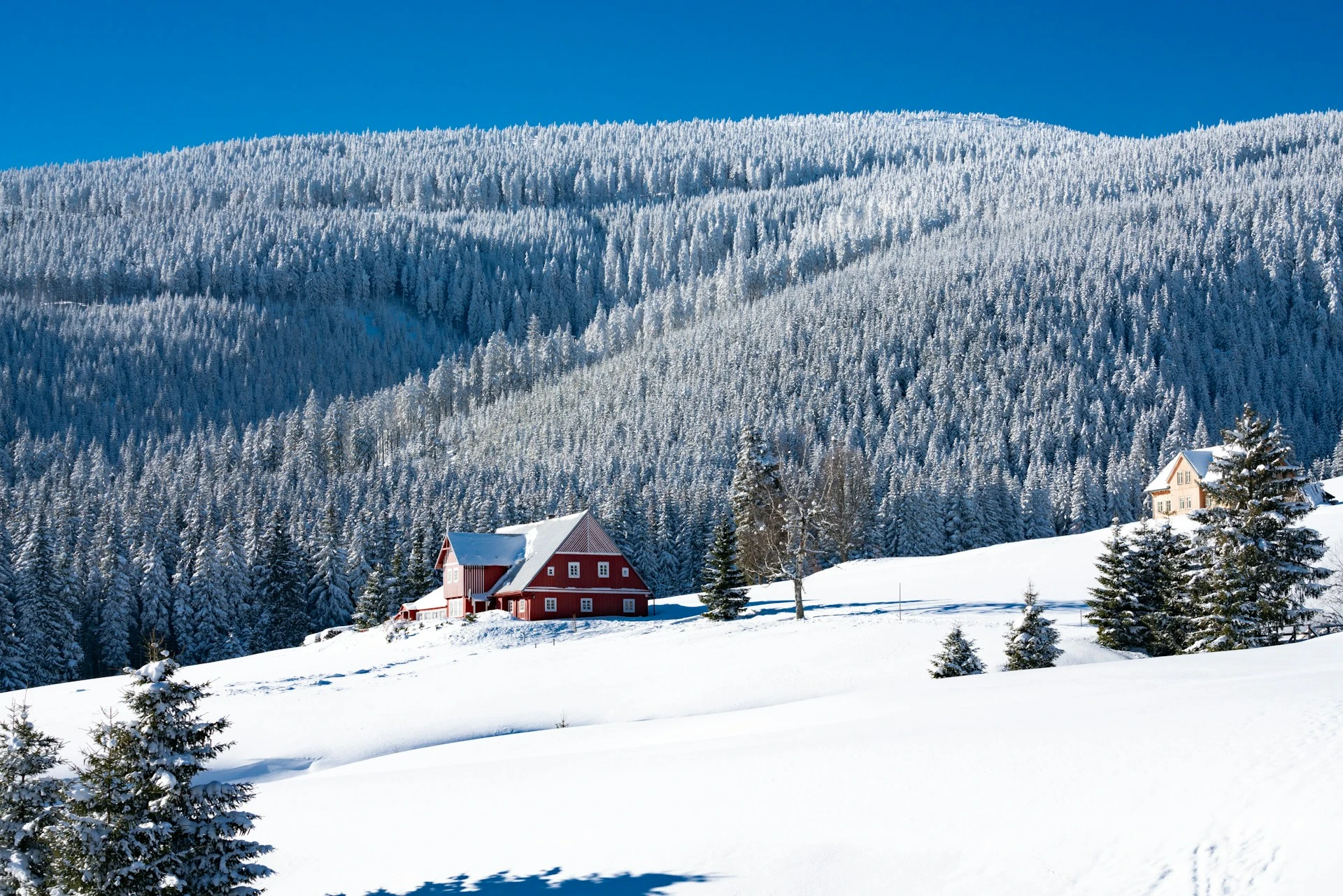 domek w górach, śnieg, las